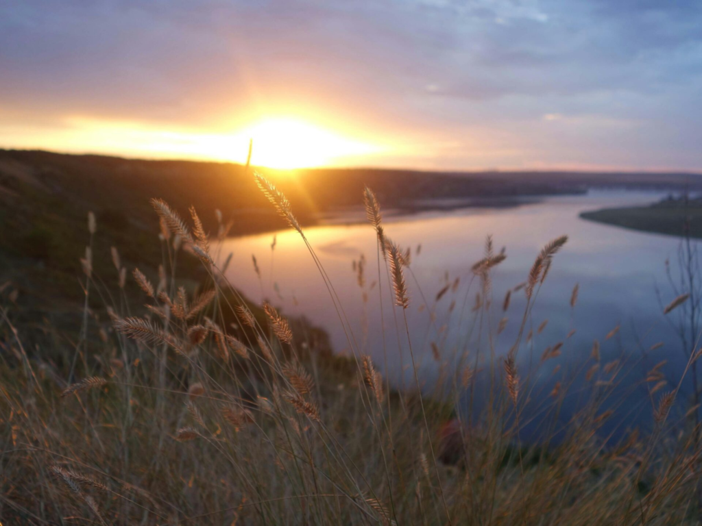 Photo by Наталья Котенко: https://www.pexels.com/photo/grasses-near-river-at-sunset-10955994/